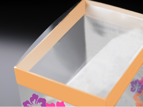 Clear Folding Carton Packaging
